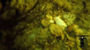 Подводная охота охота на трофейного  ОМАРА -ЛОБСТЕРА