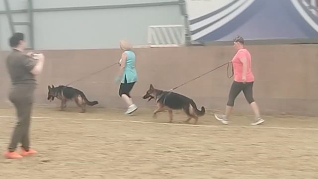 Подростки суки ст