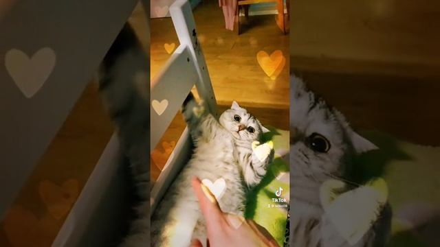 2023-01-10 смотреть онлайн