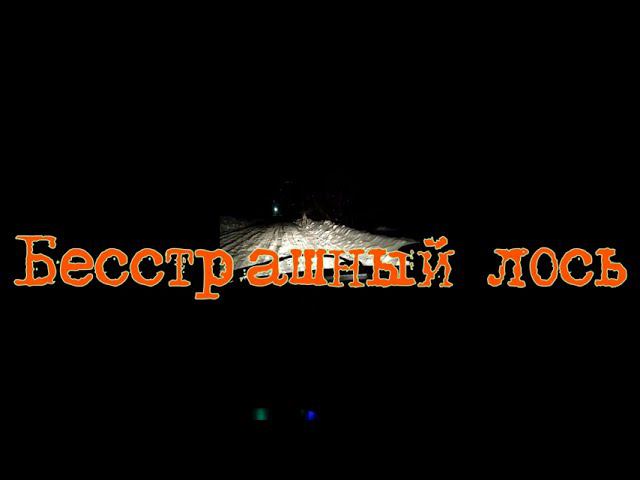 лось победил смотреть онлайн