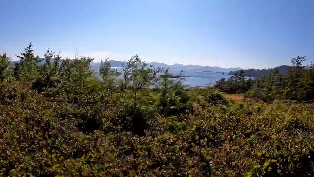 The mysterious underwater creatures of Haida Gwaii ?? |S6-E129| смотреть онлайн