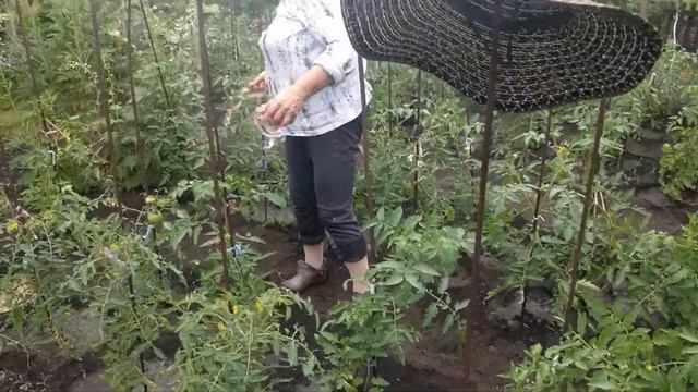 20160612 Омск Дача Родители смотреть онлайн