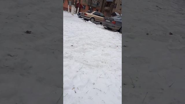 Сегодня вышли кушать Камикадзе и две кошечки. смотреть онлайн