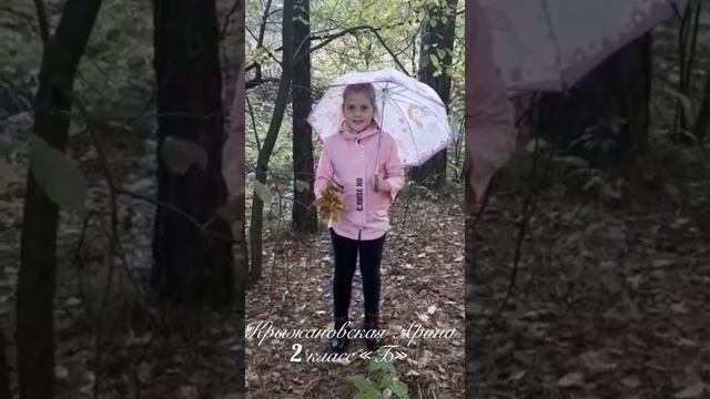 Ермаковская школа №1 2 класс "Б". Стихотворения учеников про осень смотреть онлайн