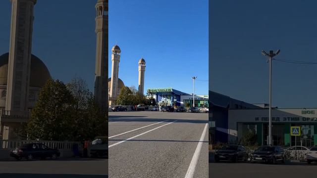 Город Грозный в Москву Домодедово из Аэропорта Ахмат, Совдегархо Денал смотреть онлайн