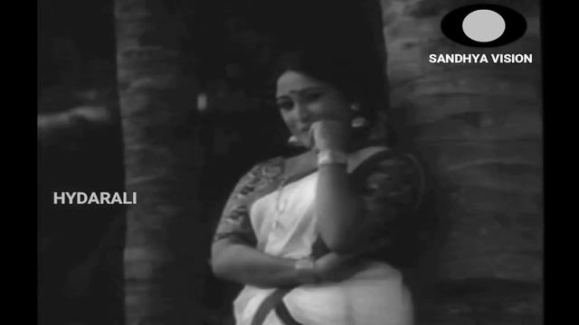 ഓടി വരും കാറ്റിൽ - പി. സുശീല ' പിച്ചാത്തിക്കുട്ടപ്പൻ смотреть онлайн