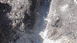 Дренаж участка своими руками, как избавиться от грунтовых и талых вод