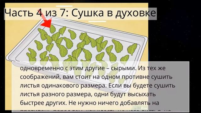 Мастерство и Развитие