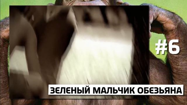 10 ДЕТЕЙ, КОТОРЫХ ВОСПИТАЛИ ЖИВОТНЫЕ смотреть онлайн