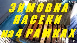 Почему зимовка на 4 рамках.2 корпуса в зиму,а пчелы 5 рамок. смотреть онлайн