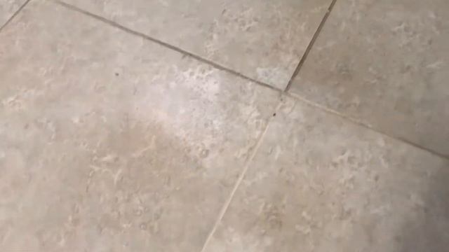 Как очистить швы между плиткой.Clean with me.Metlax,kafel arasi fuqanin temizlenmesi.Temizlik. смотреть онлайн