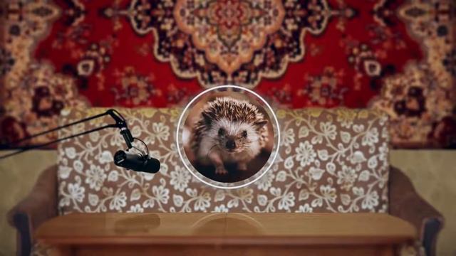 МОРАЛЬНАЯ ДЕГРАДАЦИЯ смотреть онлайн