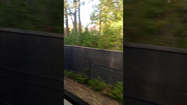 Светлогорск-2 до Зеленоградск-новый 1 часть смотреть онлайн