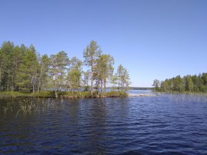 Рыбалка в Карелии июнь 2023 Шуезеро