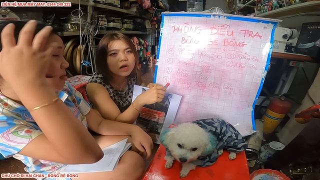 TẬP 37: TRUY TÌM RA HANG Ổ NƠI GIAM GIỮ EM SU | BÔNG BÉ BỎNG смотреть онлайн