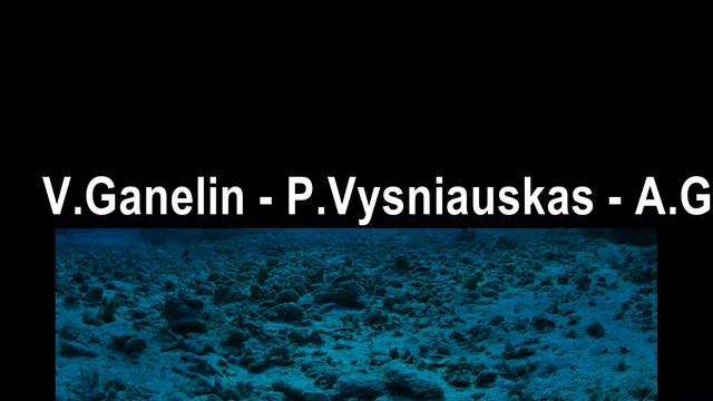 TRIO “ALLIANCE” - THE RED SEA JAZZ FESTIVAL (1995) смотреть онлайн