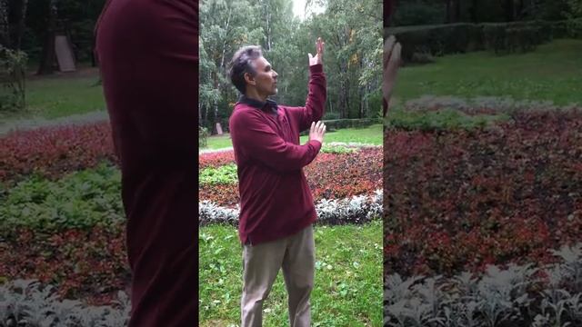 Упражнение Цигун: Бросать мяч за спину. Из комплекса Инь-Ян Цигун 1. смотреть онлайн