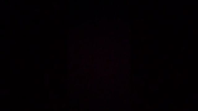 ЧУДЕСНОЕ ПУТЕШЕСТВИЕ НИЛЬСА С ДИКИМИ ГУСЯМИ