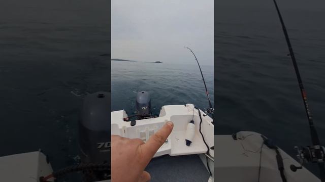 10.05.24г. открытие сезона, тролинг симы, приморский край. удачно смотреть онлайн