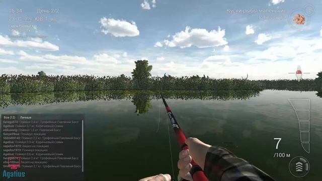 Fishing Planet прохождение | Трофейный СОМ | Флорида, Эверглейдс смотреть онлайн