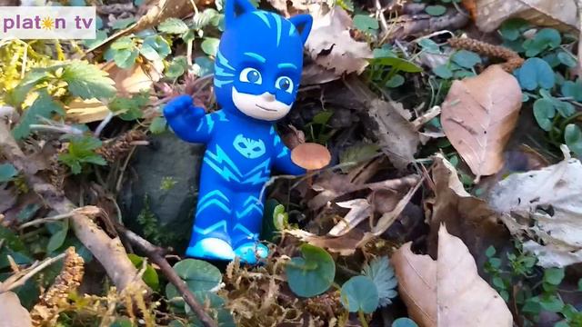 ● Герои в масках в феврале в лесу цветы искали. смотреть онлайн