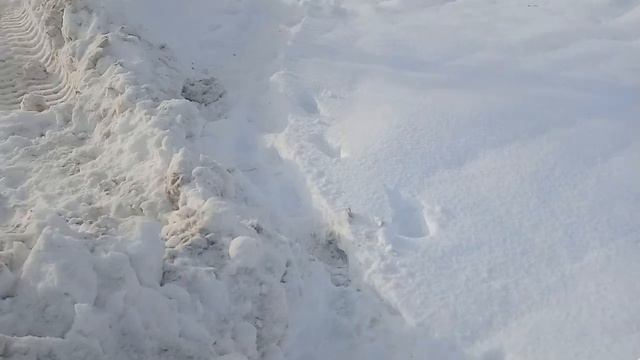 Смирных 03/12/2021 смотреть онлайн