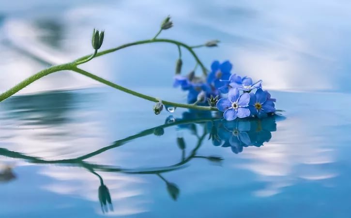 Совет от Ангела-Хранителя на ближ. дни.....3 варианта...... смотреть онлайн