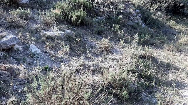 У МАВЗОЛЕЯ ТАНГИ - КАШ смотреть онлайн