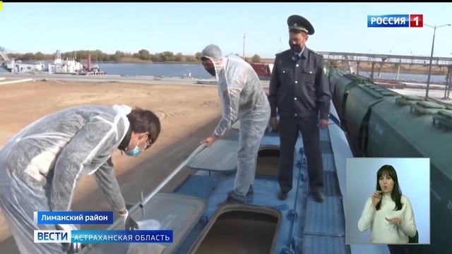 В Астраханской области специалисты Россельхознадзора проверяют экспортируемое зе.mp4 смотреть онлайн