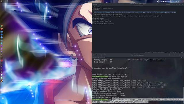 Como instalar PostgreSQL actualizado en Ubuntu Server смотреть онлайн