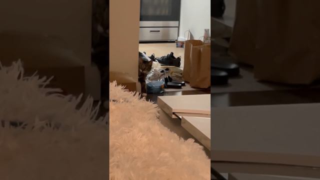 | Хесус | К Алексейю Губанову зашла Буба ❤️ смотреть онлайн