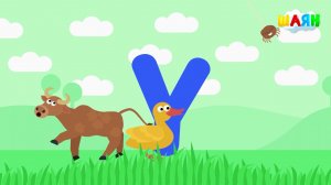 ШАЯН Әлифба - Ү хәрефе