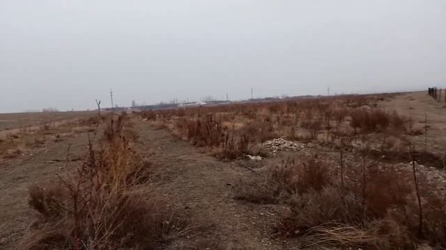 Кадамжайдагы "Берекелүү суу" чарбанын карлик багында. смотреть онлайн