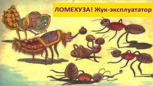 ЛОМЕХУЗА! Как один жучок может уничтожить целый муравейник? Наталья Носова