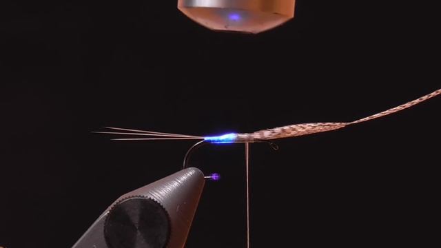 BWO Wally Wing Mayfly/ Подёнка с крылом Wally Wing