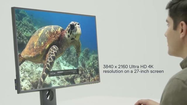 Dell UltraSharp 27 4K Monitor U2718Q смотреть онлайн