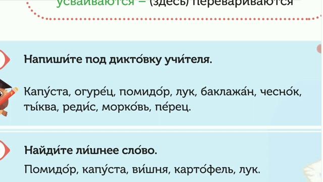 Rus dili / 5-ci sinif / ikinci xarici dil / dərs 16 смотреть онлайн