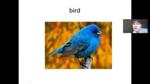 numbers English one one one little dog run