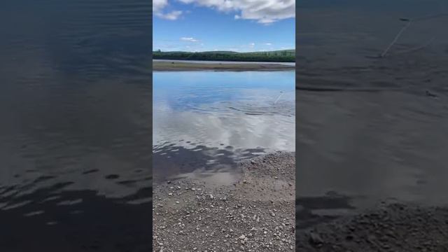 4 сентября 2022 г. смотреть онлайн