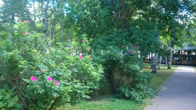 Новосибирск - город моей юности. Запись #70. смотреть онлайн