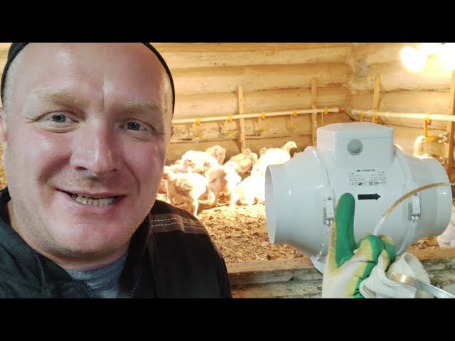 Принудительная вентиляция в курятнике. смотреть онлайн