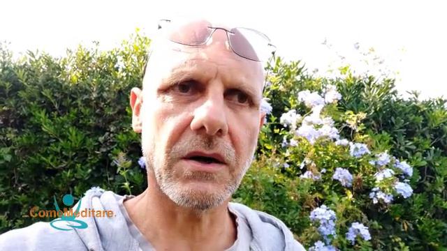 Storia dei 2 Monaci e della Ragazza della Pozzanghera смотреть онлайн