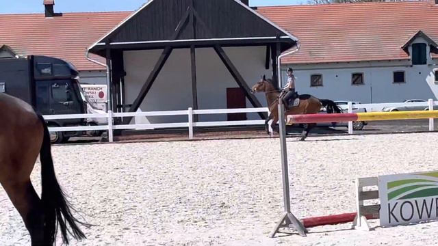 Clemens (Cornet Obolensky x Orlando ) 7yo смотреть онлайн
