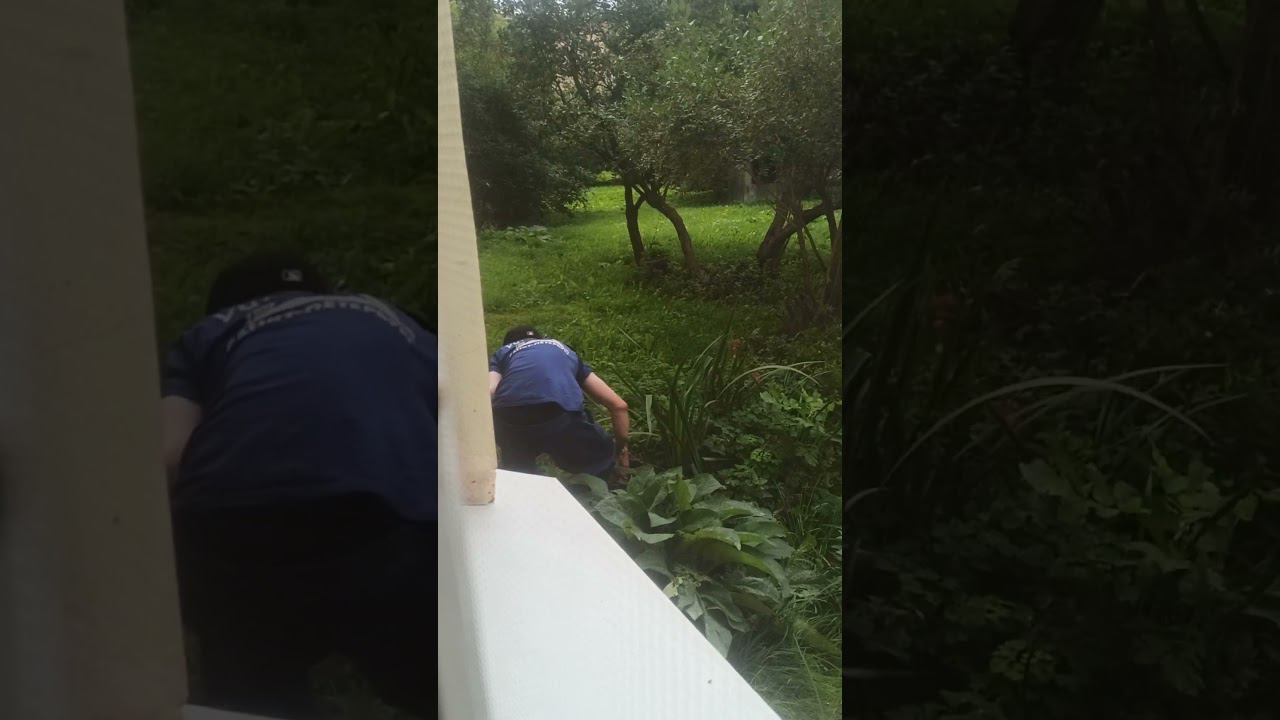 17 августа 2024 г. смотреть онлайн