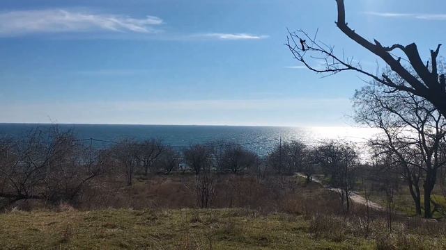 2 минут назад! Одесса что произошло . Сегодня случилось смотреть онлайн