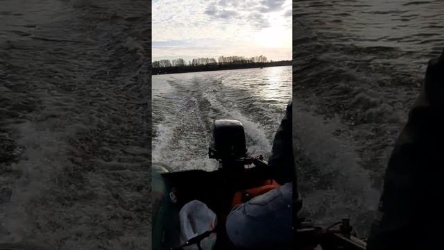 Parsun 9.8 Bark BT 310 S смотреть онлайн