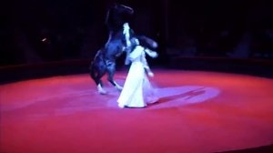 «Высшая школа верховой езды»  www.ukrcircus.com