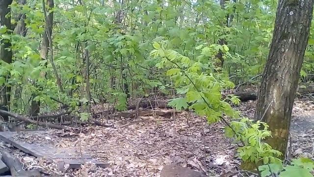 Как я упал с велосипеда смотреть онлайн