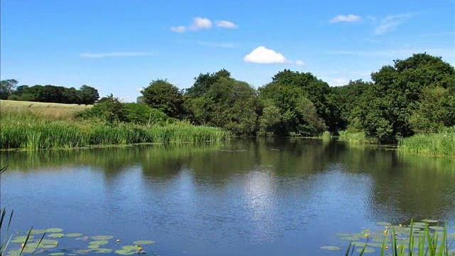 The BEST Canon Sx510 HS photo's on the net!!! смотреть онлайн