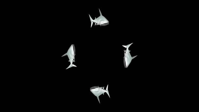 видео для 3D голограммы смотреть онлайн